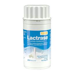 Abbildung: Lactrase 1.500 FCC Kapseln Kapseln, 100 St PZN 09175787