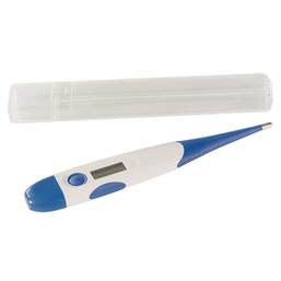 Abbildung: Fieberthermometer digital mit flexibler Spitze 1 St PZN 09302116