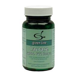 Abbildung: Lactase 4000 FCC Enzym Kapseln 100 St, Kapseln PZN 09631535