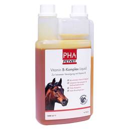Abbildung: PHA Vitamin B Komplex Liquid für Pferde Lösung, 1000 ml PZN 09670848