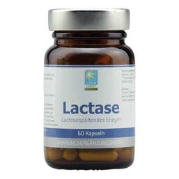 Abbildung: Lactase Kapseln 60 St, Kapseln PZN 09701595