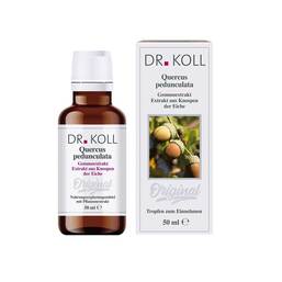 Abbildung: Gemmoextrakt Eiche Tropfen Tropfen, 50 ml PZN 09762556