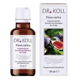 Abbildung: Gemmoextrakt Feige Tropfen Tropfen, 50 ml PZN 09762579
