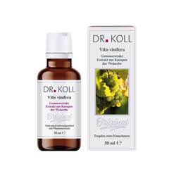Abbildung: Gemmoextrakt Weinrebe Tropfen Tropfen, 50 ml PZN 09762668