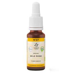 Abbildung: Bachblüte No.37 Wild Rose Bio 20 ml PZN 10310888