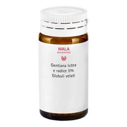 Abbildung: Gentiana lutea 5% Urtinktur Globuli velati 20 g, Globuli PZN 10735702