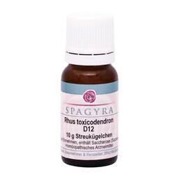 Abbildung: Rhus Toxicodendron D 12 Globuli 10 g, Globuli PZN 11187272