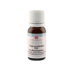 Abbildung: Thuja Occidentalis D 30 Globuli 10 g, Globuli PZN 11279146