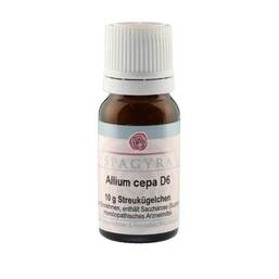 Abbildung: Allium cepa D 6 Globuli 10 g, Globuli PZN 11280600