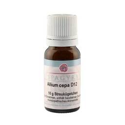 Abbildung: Allium cepa D 12 Globuli 10 g, Globuli PZN 11280617