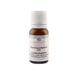 Abbildung: Rhus Toxicodendron D 30 Globuli 10 g, Globuli PZN 11282740 