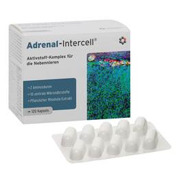 Abbildung: Adrenal-Intercell Kapseln Kapseln, 120 St PZN 11316315