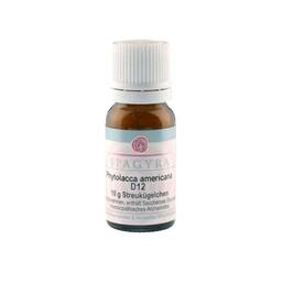 Abbildung: Phytolacca Americana D 12 Globuli 10 g, Globuli PZN 11555563
