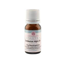 Abbildung: Sambucus nigra D 6 Globuli 10 g, Globuli PZN 11555669