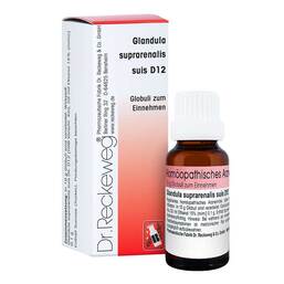 Abbildung: Glandula Suprarenalis suis D 12 Globuli 10 g, Globuli PZN 11858772