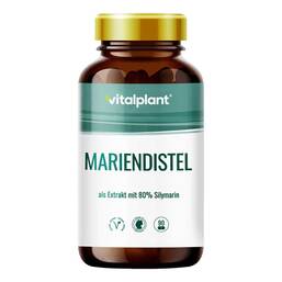 Abbildung: Mariendistel 300 mg Extrakt Vitalplant Kapseln 90 St, Kapseln PZN 12504154