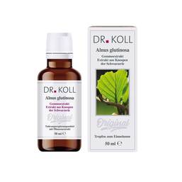 Abbildung: Gemmoextrakt Schwarzerle Alnus Glutinosa Tropfen Tropfen, 50 ml PZN 12533109