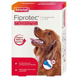 Abbildung: Fiprotec 134 mg Lösung z.Auftr.für mittelgröße Hunde 3X1.34 ml, Tropfen PZN 12568183