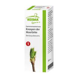 Abbildung: Gemmomazerat Betula pubescens Spray Spray, 30 ml PZN 13306143