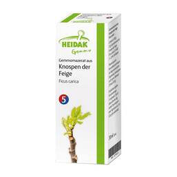 Abbildung: Gemmo Ficus carica Gemmomazerat Spray Spray, 30 ml PZN 13306172