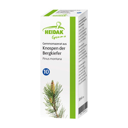Abbildung: Gemmo Pinus montana Gemmomazerat Spray Spray, 30 ml PZN 13306203