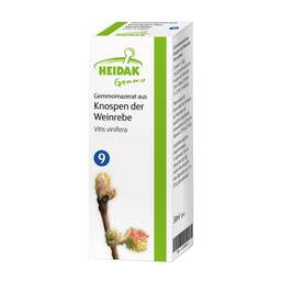 Abbildung: Gemmo Vitis vinifera Gemmomazerat Spray Spray, 30 ml PZN 13306278