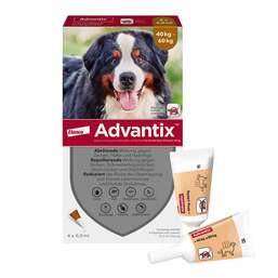 Abbildung: Advantix Spot-on Lösung z.Auftr.a.d.H.für Hund 40 - 60 kg 4X6.0 ml, Lösung PZN 14018400