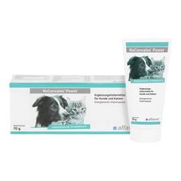 Abbildung: Reconvales Power Vitaminpaste für Hunde / Katzen 1X70 g, Paste PZN 14029390