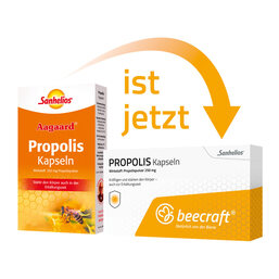 Abbildung: Beecraft Propolis Kapseln Kapseln, 30 St PZN 15024087