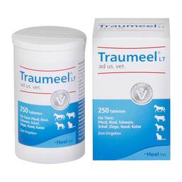 Abbildung: Traumeel LT ad us.vet.Tabletten 250 St, Tabletten PZN 15300328