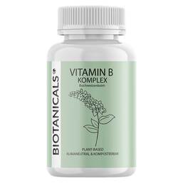 Abbildung: Biotanicals Vitamin B Kapseln Kapseln, 90 St PZN 16395443