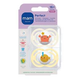 Abbildung: Mam Perfect Silikon 16 + Monate 2 St PZN 16707635