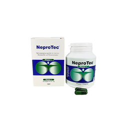Abbildung: Neprotec Phase 1 Kapseln 90 St, Kapseln PZN 16907765