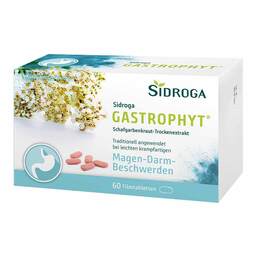 Abbildung: Sidroga GASTROPHYT® Filmtabletten 60 St, Filmtabletten PZN 17306594