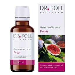Abbildung: Gemmo Mazerat Feige Dr. Koll Ficus carica Tropfen 50 ml, Tropfen PZN 18468005