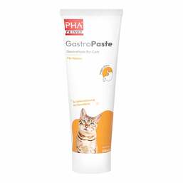 Abbildung: PHA Gastropaste für Katzen 100 ml, Paste PZN 19225701