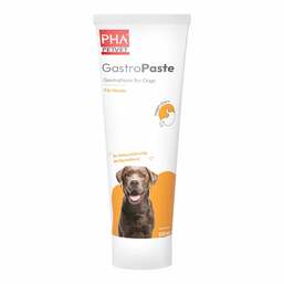 Abbildung: PHA Gastropaste für Hunde 100 ml, Paste PZN 19225718