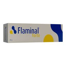 Abbildung: Flaminal Forte antimikrobi.Enzym Alginat Verband Tube 40 g, Verband PZN 19340359