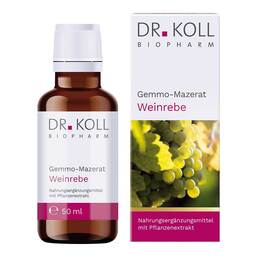 Abbildung: Gemmo-Mazerat Weinrebe Dr. Koll Vitis vinifera Tropfen 50 ml, Tropfen PZN 20060004