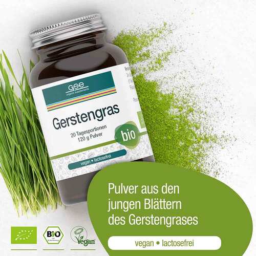 Gerstengras Bio Pulver - 3