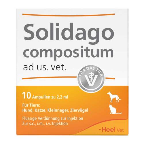 Solidago compositum ad us. vet. Ampullen - 1