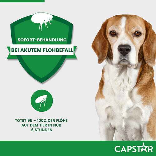 CAPSTAR™ 57 mg Tabletten f&uuml;r gro&szlig;e Hunde - 4