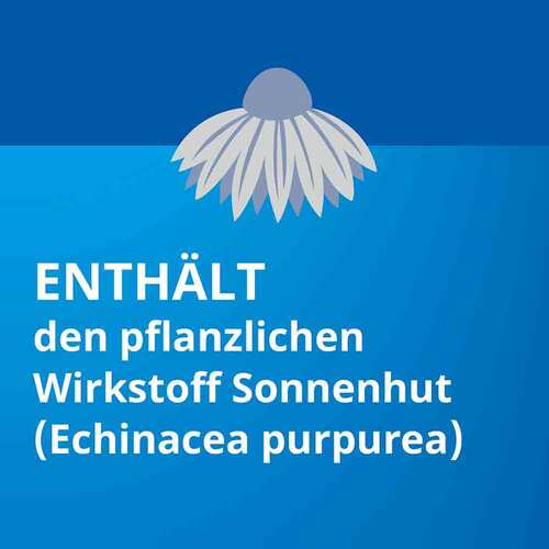 Echinacea STADA® Classic - 4
