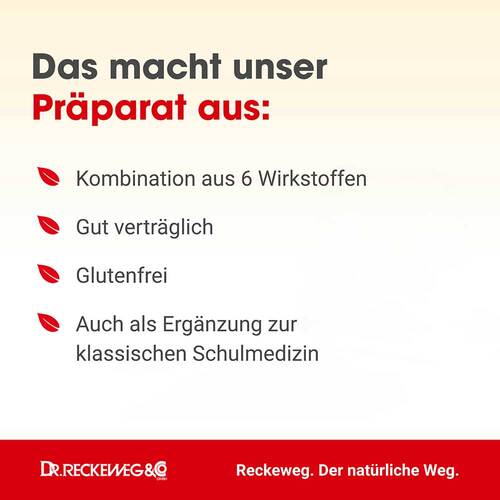 Lumbago-Gastreu S R11 Tropfen zum Einnehmen - 2