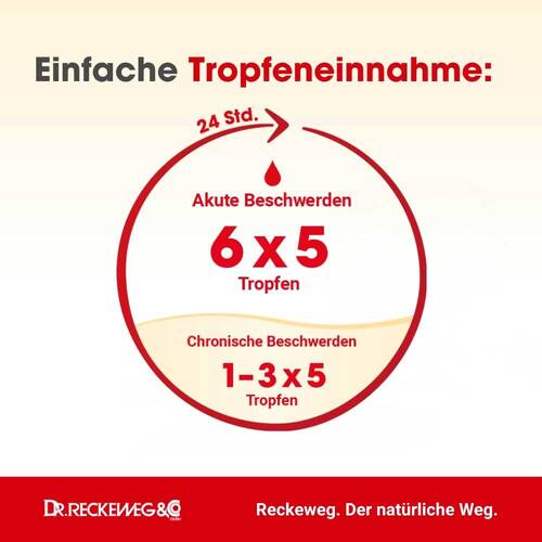 Dysmenorrhoe Gastreu S R 75 Tropfen zum Einnehmen - 3