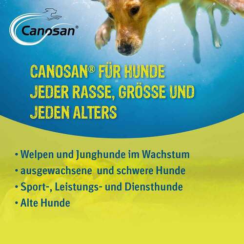 Canosan Kautabletten vet. (f&uuml;r Tiere) - 3