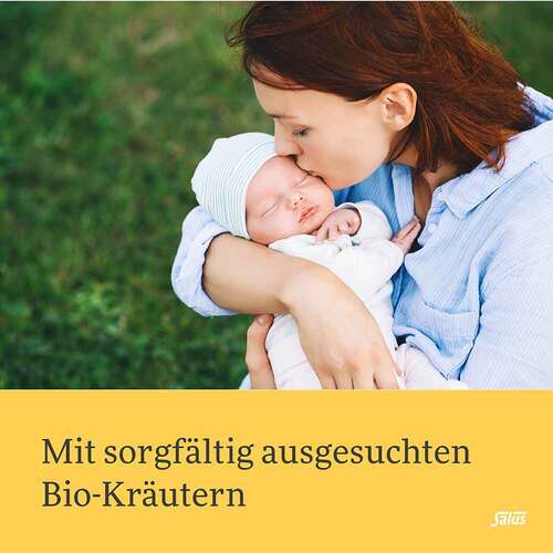 Salus Stilltee Bio Filterbeutel - 3