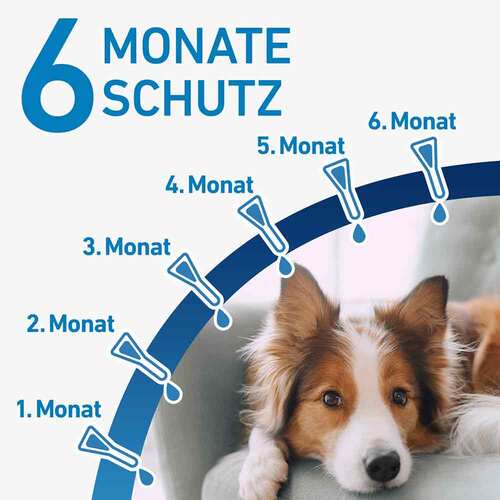 FRONTLINE® SPOT ON Hund S L&ouml;sung - 4