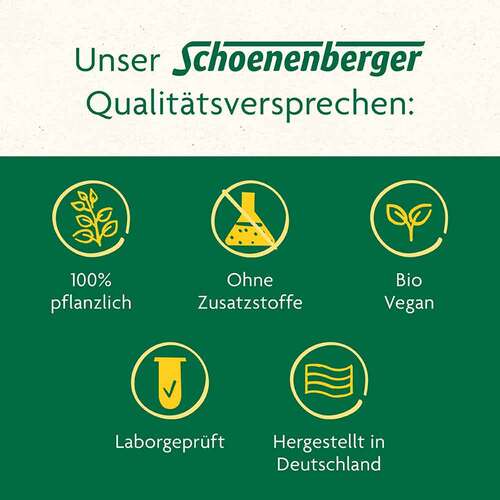 Ingwer Pflanzentrunk Schoenenberger - 2