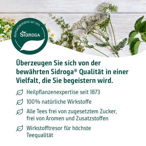 Sidroga Fenchel Anis Kümmel Tee Filterbeutel - 6